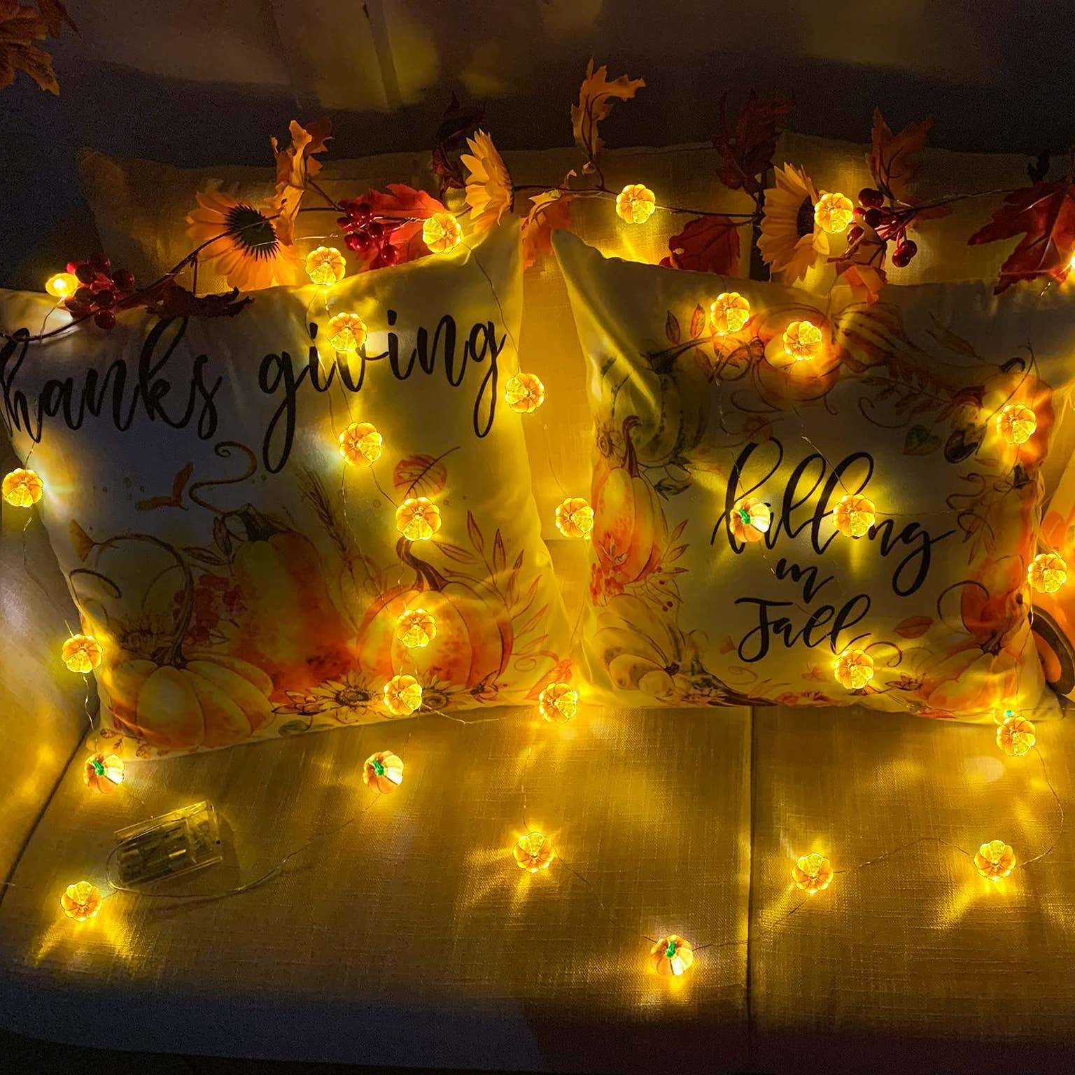 10 foot pumpkin string lights